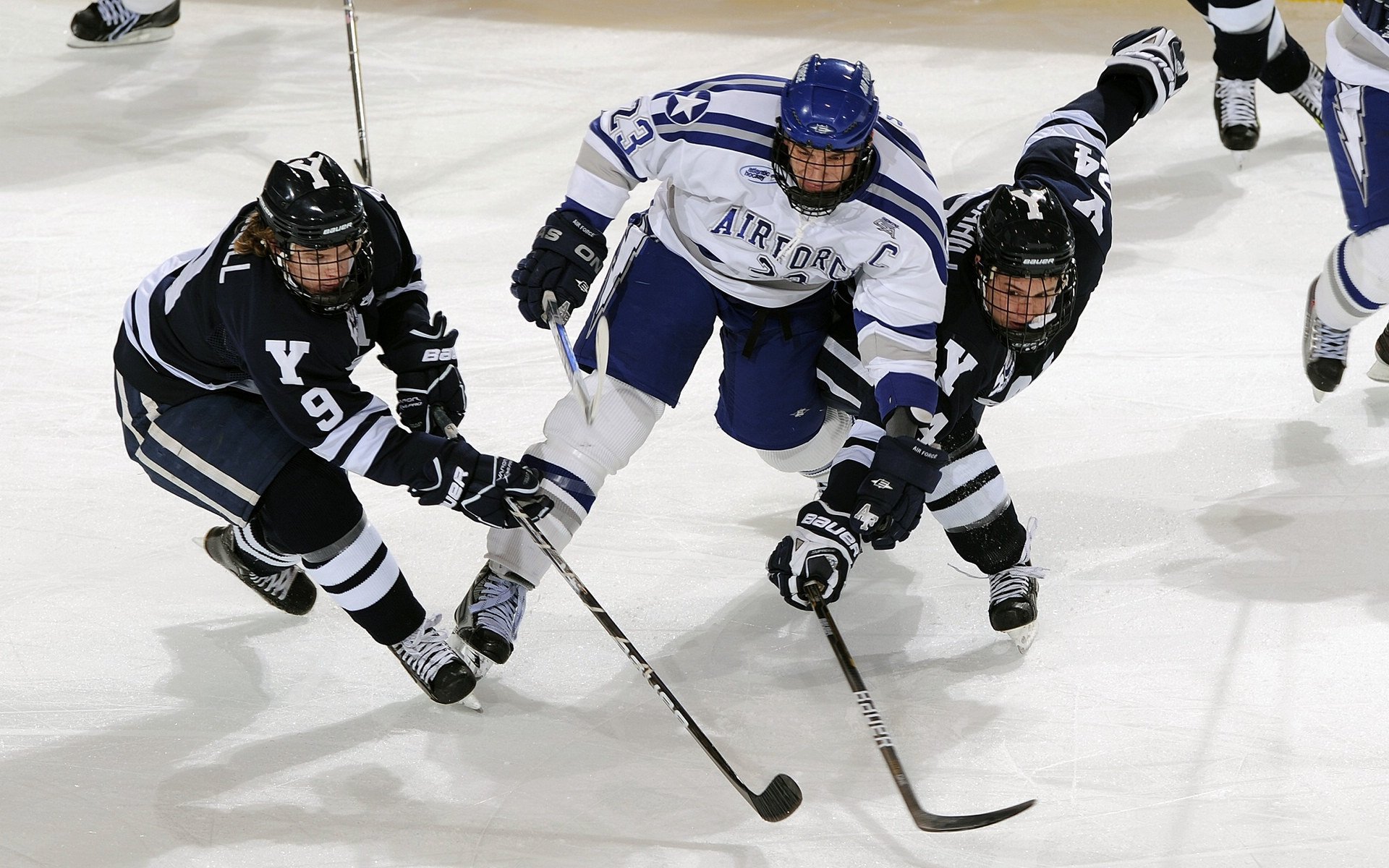 “黑马崛起：最令人惊喜的球队成长记”，黑马涌现